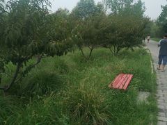 -永定河休闲森林公园