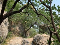 -阳台山自然风景区