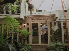 -Fern Forest Cafe