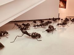 -四川美术学院美术馆