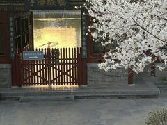 -迎泽公园