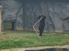 -武汉动物园