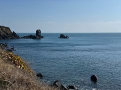 -涉地可支