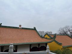 -宝通禅寺