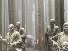 -武陵山森林公园