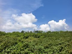 -凤凰山国家森林公园