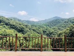 -波尔登森林公园