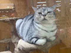 -山东嘉汇文化用品有限公司张店凤凰国际分公司(新村西路店)