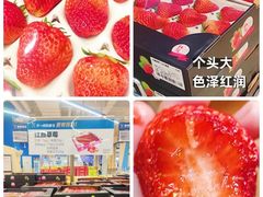 -盒马X会员店(上海森兰商都店)