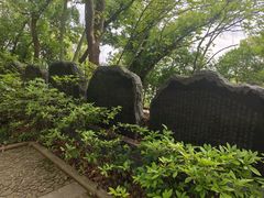 -上海佘山国家森林公园天马山园