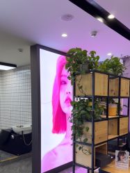 -藤野造型烫染·漂发