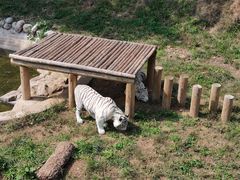 -石家庄市动物园