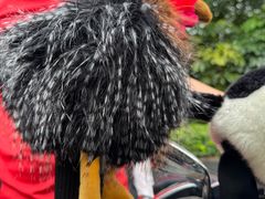 -麓湖高尔夫球俱乐部