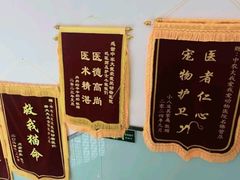 -中农大我爱我爱动物医院·核磁CT·猫病·24小时夜诊中心(石佛营店)