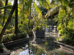 -海南清水湾莱佛士酒店