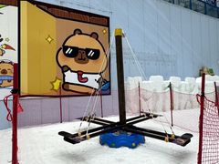 -哈尔滨热雪奇迹