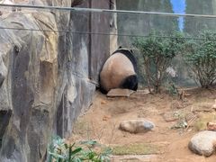 -香港海洋公园