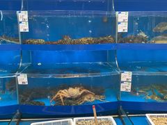 -果蔬好生活超市(乐堤港店)