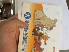 -宠福鑫康馨动物医院·骨科·眼科