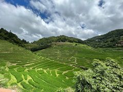 -南靖田螺坑土楼群景区