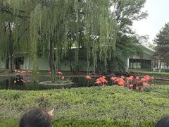 -石家庄市动物园