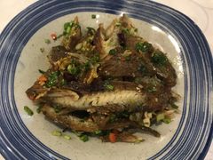 -渔娘渔家丹东海鲜(东直门店)