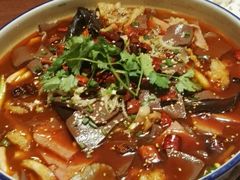 毛血旺-川流不息·地道川菜·小龙虾(新松江路店)