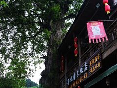-雅安上里古镇