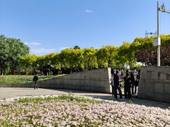 -石家庄市植物园