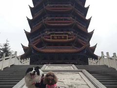 -铁山坪森林公园