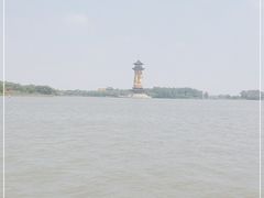 -溱湖国家湿地公园