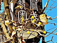 -宣武艺园