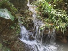 -深圳仙湖植物园