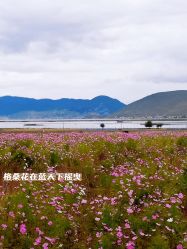 -纳帕海依拉草原