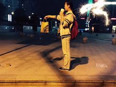 -紫荆广场·花漫里