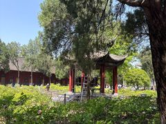 -洛阳白马寺