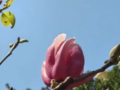 -晓港公园