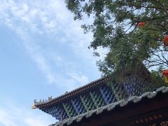 -老白家水盆羊肉