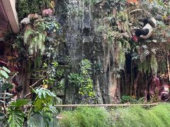-正佳雨林生态植物园