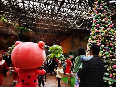 -杭州开元森泊度假乐园