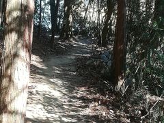 -千岛湖龙川湾
