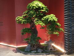 -阿伟海鲜楼·福建菜(延寿店)