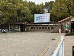 -上海共青森林公园