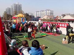 运动会-灞桥十里铺舒克幼儿园