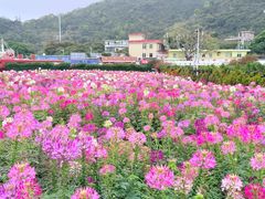 -玫瑰海岸文化旅游度假区