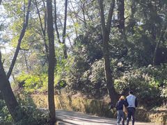 -苍山感通索道