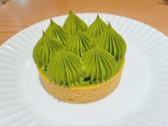 -猫里有甜