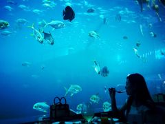 -瑞德姆美人鱼海底演艺主题餐厅(亚龙湾店)
