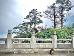 -峨眉山风景名胜区