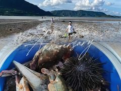 -坝光海滩